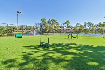 Pet park